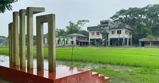 বরগুনায় মাদ্রাসা মাঠ দখল করে আমনের বীজতলা তৈরির অভিযোগ